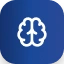 AI/ML Consulting