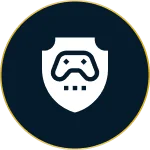 Game Maintenance & Support