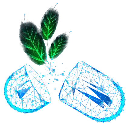 Understanding Carbon Credits